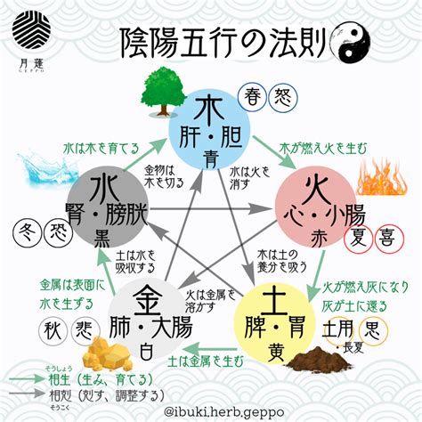 陰陽五行論|陰陽五行説 – 陰陽道・五行説をわかりやすく解説【図。